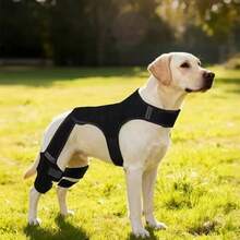 Dog Knee Braces - Adjustable Dual Leg Braces, Helps Treat ACL/PCL Tears, Patellar Dislocation, Ligament Injuries, Osteoarthritis - Black - View 10