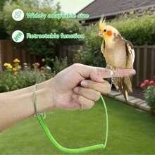 6pcs Set Retractable Parrot Training Leash, With 5 Different Sizes Of Foot Rings, Bird Cage Harness, Parrot Supplies And Tools, Parrot Flight Leash, Anti-Bite Parrot Chest Harness, Bird Flight Training Leash. - A+B - View 9