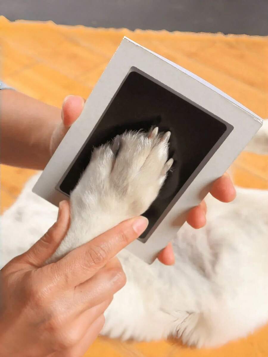1pc Pet Paw Print Set, Includes 1 Ink Pad And 2 Print Cards, Halloween, Thanksgiving And Christmas Gift, Record Pet Growth, Preserve Lifelong Memories