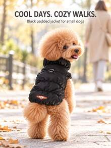 Three-Layer Warm Dog Jacket For Small And Medium Dogs, Autumn And Winter Pet Coat For Poodles, Bichons And Yorkshire Terriers, Everyday Cold-Weather Clothing In 8 Color Options - Black - View 7