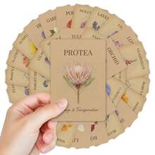 36Pcs Retro Botanical Flower Language Card Set, Vintage Plant Illustration Meaning Cards, Floral Oracle Deck, Ideal Gift For Plant Lovers, Journaling & Spiritual Enthusiasts - 36Pcs - View 5