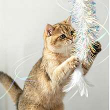 1pc Iridescent Laser Rain-Like Cat Teaser Wand, Extra Long Handle With Bell, Durable Chew Toy For Cat Interaction, Stimulates Hunting Instinct - View 8