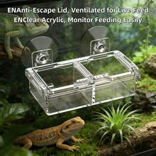 Reptile Feeding Kit, Multi-Purpose Feeding Set For Leopard Geckos, Lizards And Horned Frogs, Reptile Feeding Supplies For Terrarium Pets - Style A - View 6