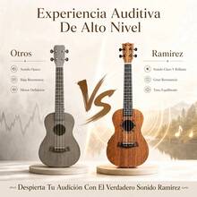 23in Ukelele Concierto Electroacústico Acustico Y Estuche - A2603EQ - Ver 8