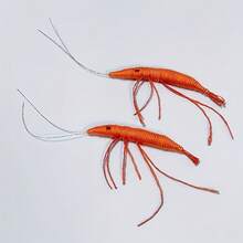 5pcs Shrimp-Shaped Cat Toys, Suitable For Kittens And Adult Cats, Interactive Hunting Games, Durable Nylon Bite-Resistant Toys, Can Be Used For Hand Gesture Training, Promote Play And Intellectual Stimulation, No Battery Required - View 8