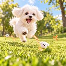 10pcs/1pc Cute Puppy Bouncy Squeaky Pet Ball, Durable Slow-Rebound Interactive Chase Gift For Cats & Small Dogs, No Battery, Halloween & Christmas Pet Gift - Ginger - View 7