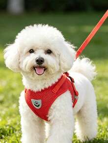 Red Vest-Style Pet Harness With Leash, Built-In Reflective Chest Strap, Practical, Suitable For Small Dogs, Pet Supplies And Dog Accessories, Size Runs Small, Recommend Choosing 1-2 Sizes Larger - Red - View 1