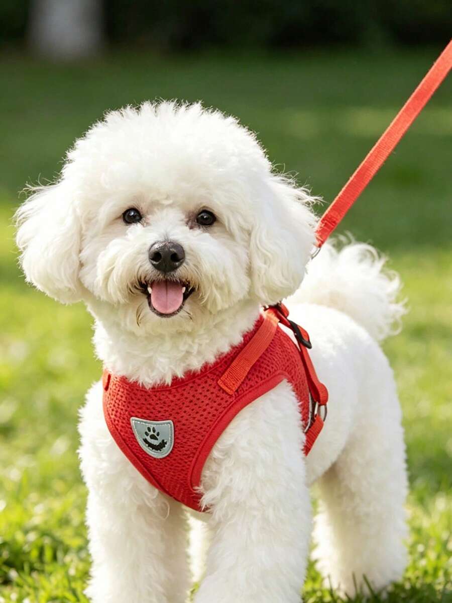 Red Vest-Style Pet Harness With Leash, Built-In Reflective Chest Strap, Practical, Suitable For Small Dogs, Pet Supplies And Dog Accessories, Size Runs Small, Recommend Choosing 1-2 Sizes Larger - Red - View 1