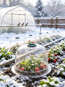 8/6/4/2pcs Garden Plant Covers, Clear Plastic Plant Protection Covers With Ventilated Tops, Reusable Covers For Seedlings, Vegetables, Flowers, And Bird/Snail Insect Protection - Multicolor - View 2