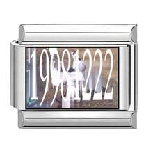 1pc Stainless Steel Italian Style Modular Charm Bracelet, DIY Interchangeable Photo Pattern Links, Fashion Women Jewelry, Ideal Gift For Daily Wear - Animal Series - View 12