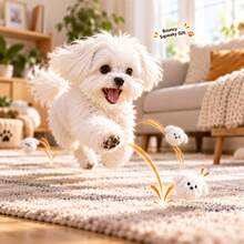 10pcs/1pc Cute Puppy Bouncy Squeaky Pet Ball, Durable Slow-Rebound Interactive Chase Gift For Cats & Small Dogs, No Battery, Halloween & Christmas Pet Gift - Ginger - View 4