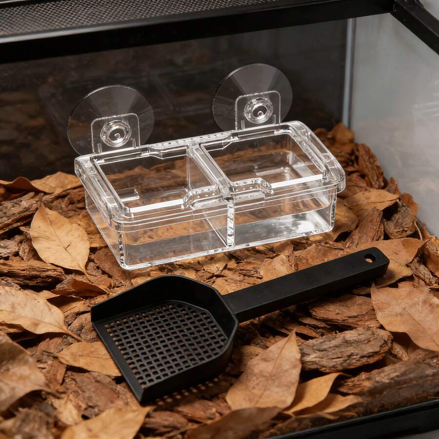 Reptile Feeding Kit, Multi-Purpose Feeding Set For Leopard Geckos, Lizards And Horned Frogs, Reptile Feeding Supplies For Terrarium Pets - Style A - View 1
