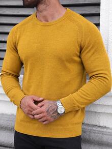 Men's Solid Color Raglan Knit Sweater, Minimalist Textured Crew Neck Long Sleeve Slightly Loose Fit Pullover Base Layer Top For Autumn/Winter - Yellow - View 7