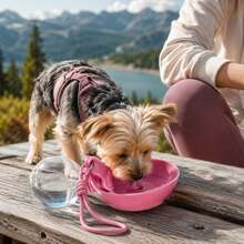 1pc 2-In-1 Portable Hanging Pet Water Cup With Foldable Bowl, Round Cup Body, Leak-Proof Design, Includes Lanyard And Hook, Convenient For Outdoor Use - Multicolor - View 3