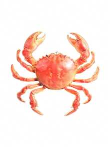 Exquisite Crab Shape Lapel Pin Set, Ocean Animal Enamel Pin, Decorative Brooch For Coat Backpack - Multicolor - View 12