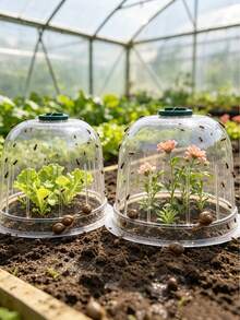 8/6/4/2pcs Garden Plant Covers, Clear Plastic Plant Protection Covers With Ventilated Tops, Reusable Covers For Seedlings, Vegetables, Flowers, And Bird/Snail Insect Protection - Multicolor - View 4
