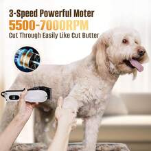3 Colors Optional Classic Shell Shaped Electric Pet Grooming Clipper, Stainless Steel Blade With LED Light, Professional Pet Grooming Scissors Set, Wireless Low Noise Dog Hair Clipper, Pet Grooming Cleaning Kit - Multicolor - View 5