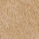 Khaki Suede
