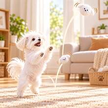 10pcs/1pc Cute Puppy Bouncy Squeaky Pet Ball, Durable Slow-Rebound Interactive Chase Gift For Cats & Small Dogs, No Battery, Halloween & Christmas Pet Gift - Ginger - View 9