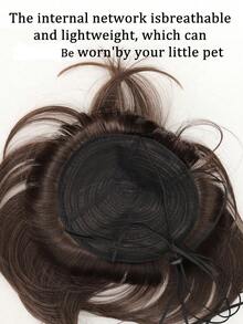 Wig Hewan Peliharaan Serat Sintetis Lucu, Gaya Rambut Poni Lurus Hitam, Hiasan Kepala Modis yang Menyenangkan untuk Kucing dan Anjing Kecil, Aksesori Rambut Hewan Peliharaan - MultiWarna - View 4
