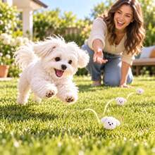 10pcs/1pc Cute Puppy Bouncy Squeaky Pet Ball, Durable Slow-Rebound Interactive Chase Gift For Cats & Small Dogs, No Battery, Halloween & Christmas Pet Gift - Ginger - View 5