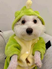 1pc Pet Supplies, Pet Autumn And Winter Dinosaur Costume, Suitable For Small Dogs, Cats, And Versatile For Festivals. - Green - View 5