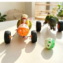 15pcs/10pcs/5pcs/1pc Bird Bell Ball Toy, Jingle Sound Diameter 3.8cm (1.5 Inch), Colorful Cat Teaser Bird Teaser Dog Parrot Toy Ball, Built-In Bell, Interactive Bird Cage Toy, Suitable For Budgies, Lovebirds, Small Birds, Pet Holiday Gift - View 6