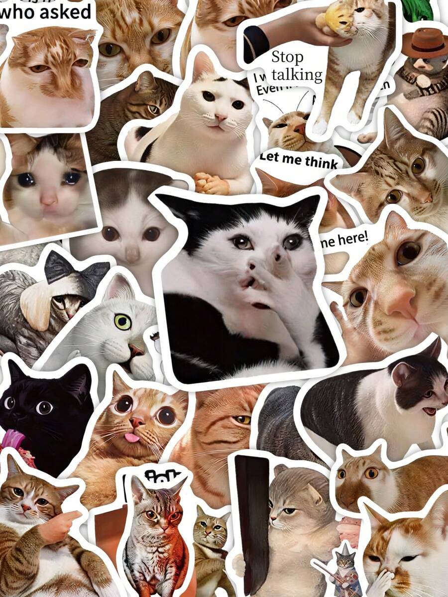 50/100pcs Cat MEME Stickers Laptop Handbook Phone Case Funny Decorative Decals,Backe To School - Multicolor - View 1