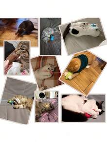 Soft Filled Catnip Toy With Crinkle Paper, Durable Chew Toy For Teeth Grinding, Funny Expression, Interactive, Suitable For Kittens And Pets, Mini Toy - Multicolor - View 4