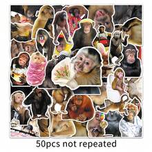 50pcs Funny Monkey Expression Stickers, Crazy Ape Decorative Stickers For Planner, Notebook, Laptop - Multicolor - View 5