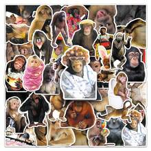 50pcs Funny Monkey Expression Stickers, Crazy Ape Decorative Stickers For Planner, Notebook, Laptop - Multicolor - View 1