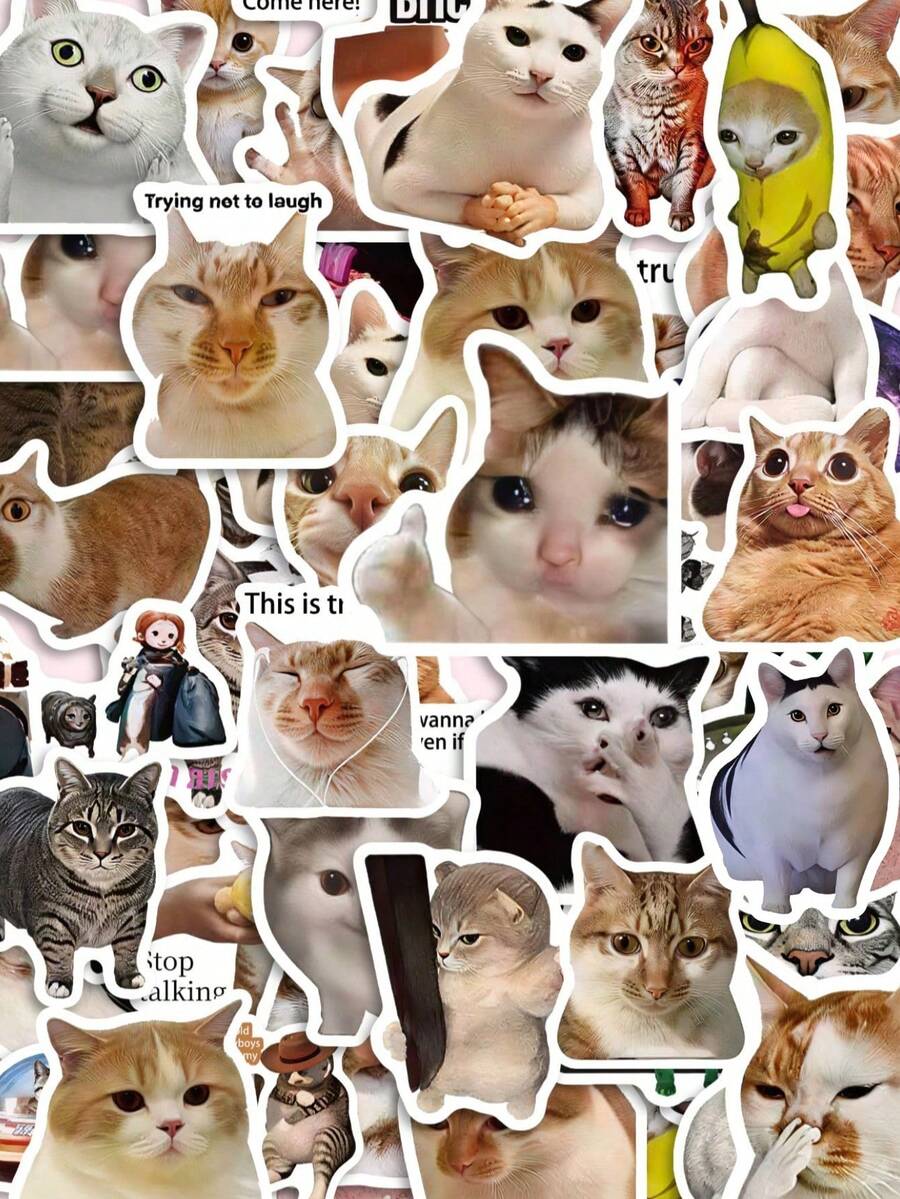 50/100Pcs PP Funny Cat Meme Stickers, Fun Patterns Of Viral Hilarious Cat Meme Images, Suitable For Journals, Water Bottles, Notebooks, Storage Boxes, Skateboards, Helmets, Luggage, Laptops, Guitars, Tablets, Power Banks, Folders, Gift Boxes - Multicolor - View 1