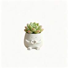 Heart Smile Mini Flower Pot, Cute Healing Style, White Ceramic, Succulent Plant Pot, Desktop Small Ornament Home Decor - A - View 4