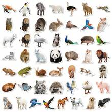 50pcs Mixed Realistic Animal Stickers, Zoo & Wild Animal Photo Stickers, Creative Bio Stickers For Laptop, Water Bottle, Phone Case, Luggage, Notebook, Novelty Gift - Multicolor - View 9