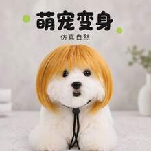 Wig Hewan Peliharaan Baru, Wig Bob Lurus dengan Poni, Aksesori Kepala Cosplay Lucu untuk Kucing & Anjing, Aksesoris Kostum Hewan Peliharaan yang Menggemaskan - MultiWarna - View 10