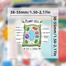 Spice Up Your Notebook Laptop And More Grab These Super Fun Science Themed Designs 50pcs Science Knowledge Stickers Set - Multicolor - View 8