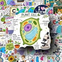 Spice Up Your Notebook Laptop And More Grab These Super Fun Science Themed Designs 50pcs Science Knowledge Stickers Set - Multicolor - View 4