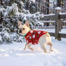 Red & Green Christmas Dog Clothes Set, 2pcs Pet Outfit With Bell Collar, Holiday Winter Vest For Small & Medium Dogs - Red - View 7