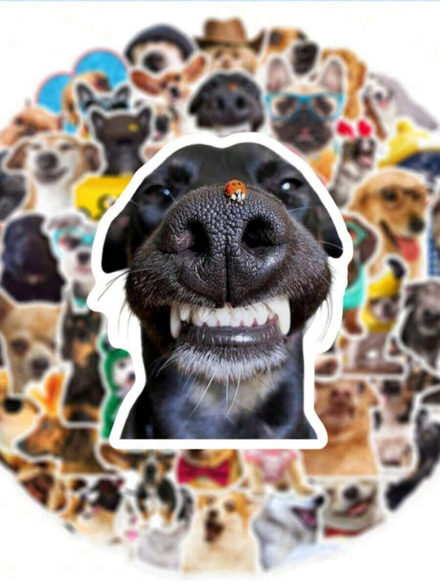 50pcs Funny Expression Stickers, Cute Dog Stickers, Expression Dog ...