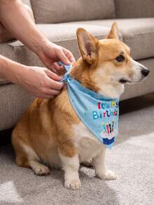 5pcs/3pcs Pet Dog Birthday Hat, Dog Birthday Decorations, Dog Birthday Headband, Dog Birthday Party Supplies, Birthday Dog Outfit For Small, Medium And Large Dogs And Cats, Dog Party Decorations - Multicolor - View 8