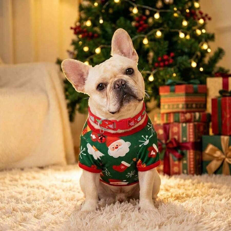 2pcs Dog Christmas Outfit Set, Red & Green Santa Print Pet Vest With Bell Collar, Suitable For Small And Medium Dogs Winter Clothes