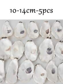 1/3/5pcs Concave Small Oyster Shells, Blank Oyster Shells For Handmade Crafts, DIY Painting Decoration Shells, Suitable For Christmas Ornaments, Beach Home Decor, Wedding Table Decor, Suitable For Adult Craft Enthusiasts, Halloween Thanksgiving Christmas Gifts - Multicolor - View 11