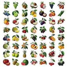 56pcs Tropical Fresh Fruit Graffiti PET Stickers, Suitable For Decorating Journals, Phone Cases, Notebooks, Tablets, Skateboards, Guitars, Party Packaging, Water Bottles And Luggage - Multicolor - View 10