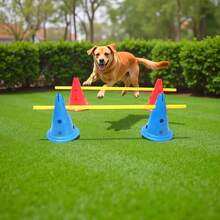 Agility Training Obstacles, Adjustable Height Agility Training Set, Sports Training Equipment - Multicolor - View 3