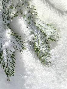 Shiny Artificial Snow - Classic Plastic Fake Snow, Suitable For Christmas Decoration, Crafts, Winter Village Scenes And Holiday Party Decor - Holiday Atmosphere Theme Party, Snowflake Decoration, Winter Scene Creation, Fluffy Texture - Multicolor - View 4