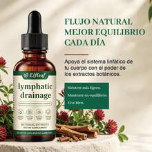 Plant Extracts - 60ml - View 2