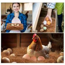 3/7/12pcs Coconut Palm Bedding Mats, Moisture Resistant & Insulating Nesting Pads For Hens, Birds, Rabbits, Reptiles & Hamsters, Reusable Poultry Bedding Material For Egg Production, Natural Nesting Box Liners For Chicken Coops & Pet - A - View 10