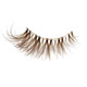 Cat Eye Lashes