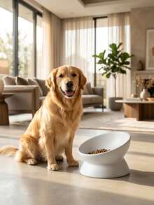 Non-Slip Tilted Ceramic Pet Bowl With Base, Suitable For Cats And Dogs, Reduces Neck Pressure, Improves Digestion, Cute Anti-Tip Ceramic Cat Food/Water Bowl, Suitable For Indoor Cats - 120ml - View 7