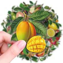 56pcs Tropical Fresh Fruit Graffiti PET Stickers, Suitable For Decorating Journals, Phone Cases, Notebooks, Tablets, Skateboards, Guitars, Party Packaging, Water Bottles And Luggage - Multicolor - View 8